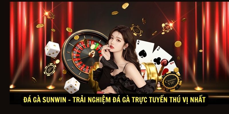 Đá Gà Sunwin - Trải Nghiệm Đá Gà Trực Tuyến Thú Vị Nhất