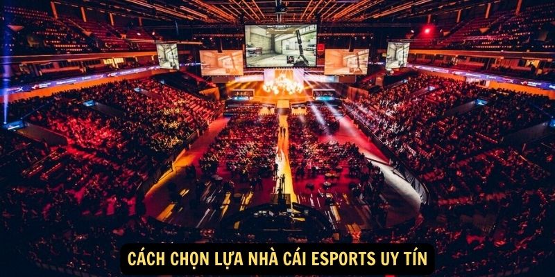 Cách chọn lựa nhà cái Esports uy tín