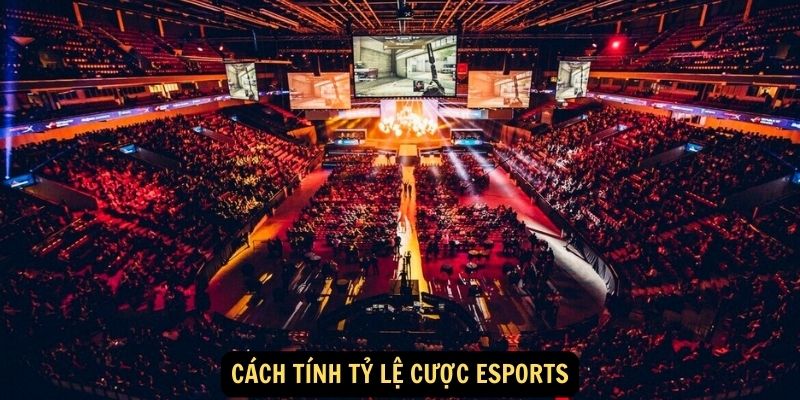 Cách tính tỷ lệ cược Esports