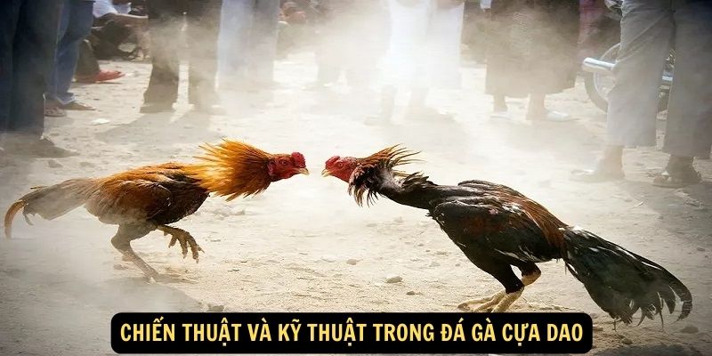 Chien thuat va ky thuat trong da ga cua dao