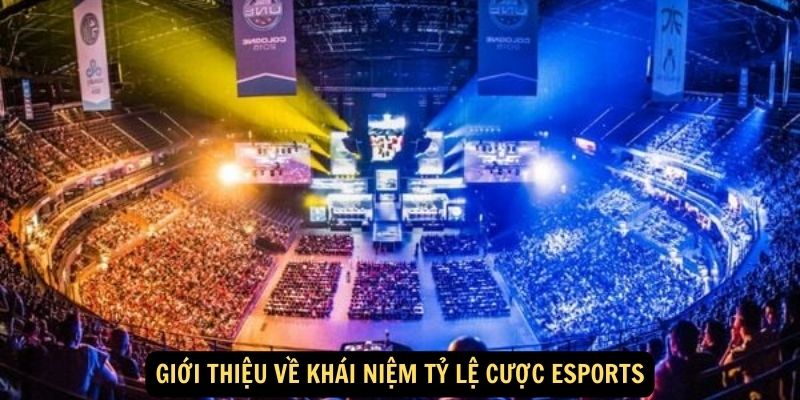 Giới thiệu về khái niệm tỷ lệ cược Esports