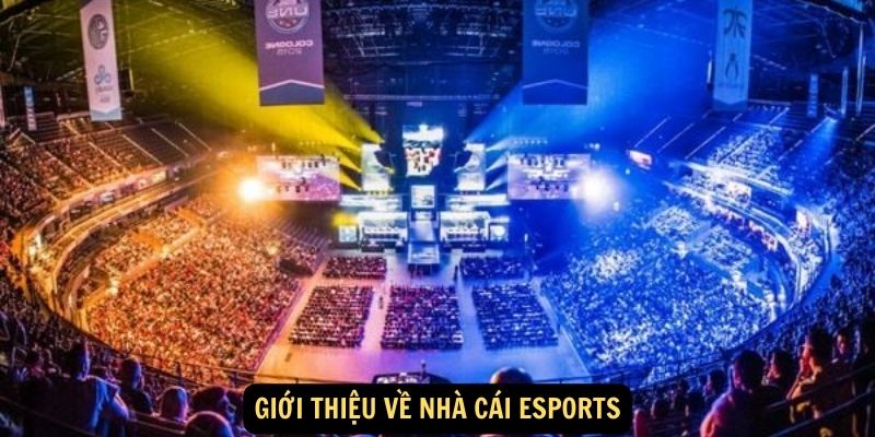 Giới thiệu về nhà cái Esports