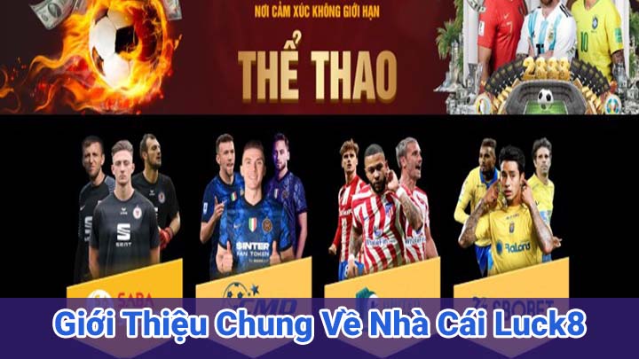 Giới Thiệu Chung Về Nhà Cái Luck8